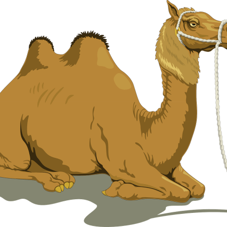 clipart of a camel
