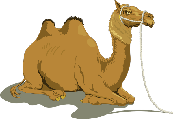 clipart of a camel