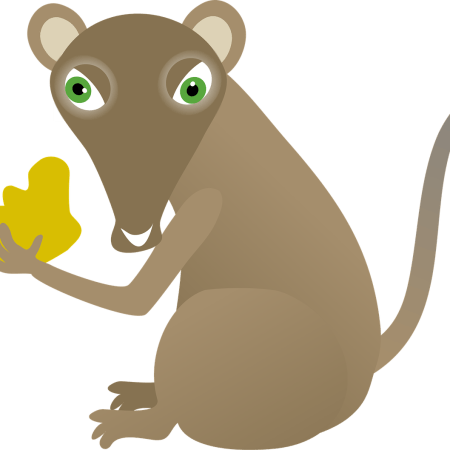 clipart of a mouse eating cheese