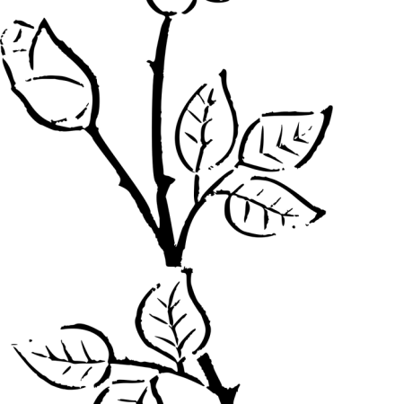 Clipart image of a single rose.