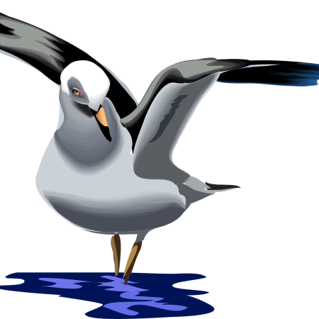 clipart showing a seagull