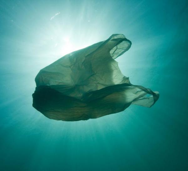Image under the ocean, with a single plastic carrier bag floating by.