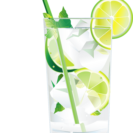 A glass of gin and tonic, embellished with slices of lemon and lime