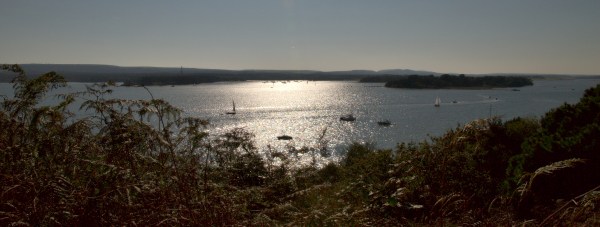 An image of Poole Harbour in Dorset, in brign sunshine