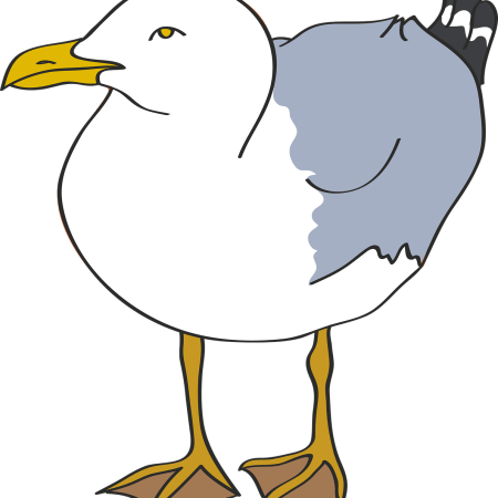 Clipart Image of a seagull