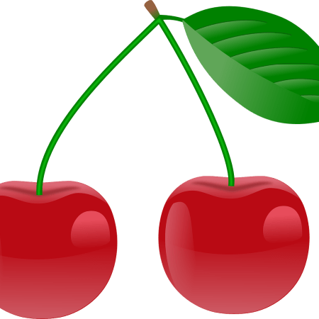clipart cherry cherries fruit pair