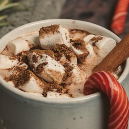 photo of a cup of hot chocolate with marshmallows