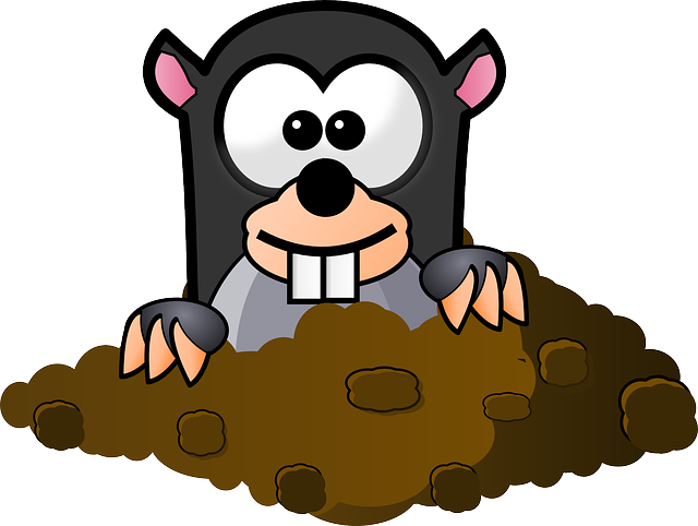 Clipart image of a mole.