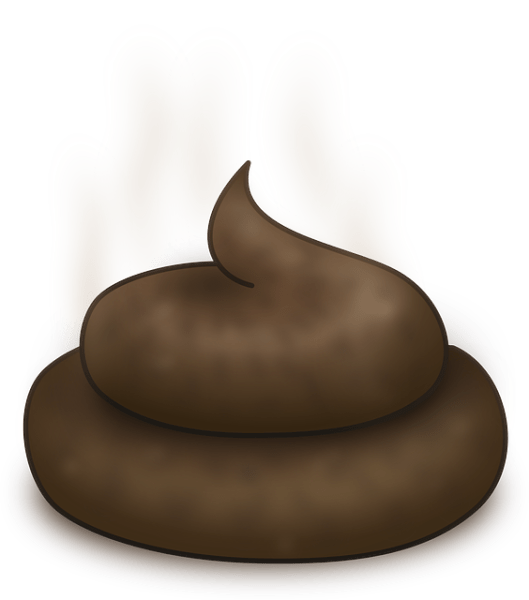 Clipart image of a turd.