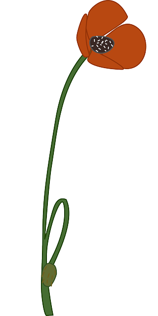 Clipart image of a poppy